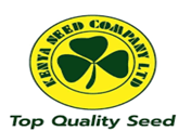 Kenya Seed